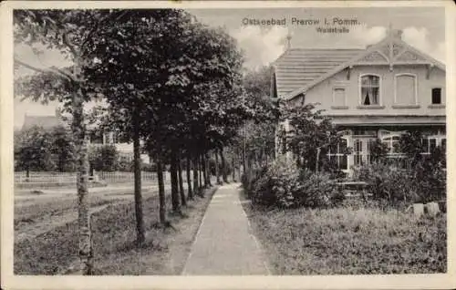 Ak Ostseebad Prerow auf dem Darß, Waldstraße