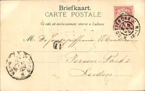 Präge Litho Affe als Zahnarzt, Hauskatzen, Zahnarztpraxis