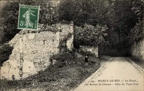 Ak Marly le Roi Yvelines, Foret, Les Ruines du Chateau, Allee du Tapis-Vert