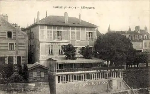 Ak Poissy Yvelines, L’Sturgeon