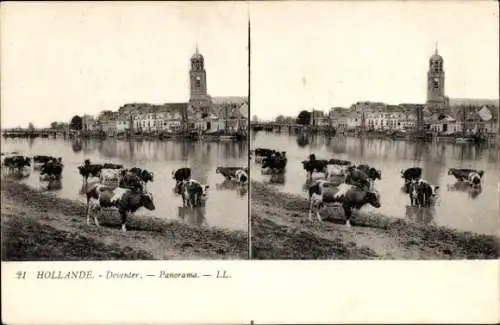 Stereo Ak Deventer Overijssel Niederlande, Panorama, Kühe am Flussufer