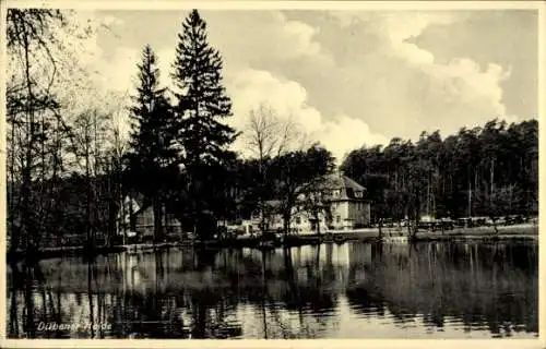 Ak Eisenhammer Tornau Gräfenhainichen in der Dübener Heide, Heide-Gasthof, Inh. Paul Platen