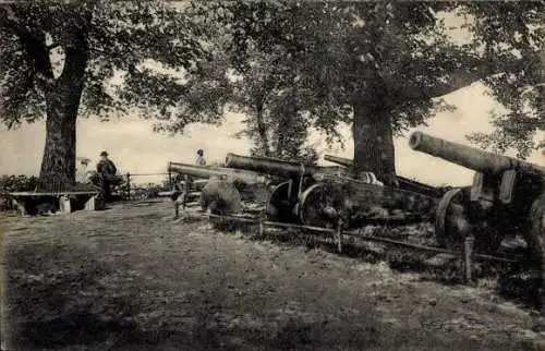 Ak Hansestadt Rostock, Fischer-Bastion, Kanonen
