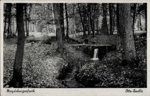 Ak Magdeburgerforth Möckern im Jerichower Land, Otto Quelle