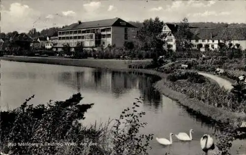 Ak Bad Meinberg am Teutoburger Wald, Teilansicht, See