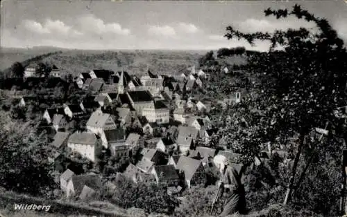 Ak Wildberg im Schwarzwald Württemberg, Gesamtansicht