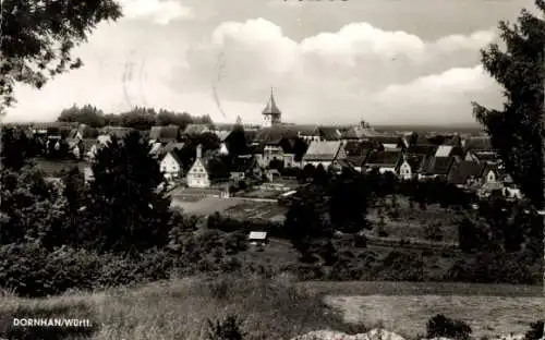 Ak Dornhan im Schwarzwald, Gesamtansicht