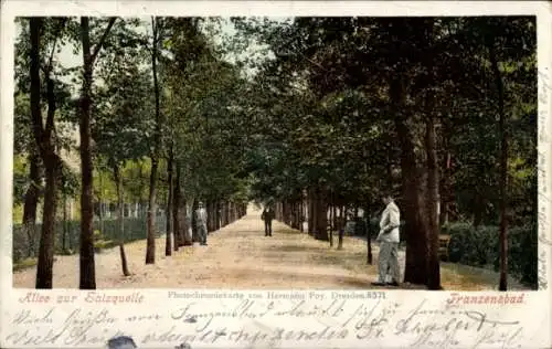 Ak Františkovy Lázně Franzensbad Reg. Karlsbad, Allee zur Salzquelle