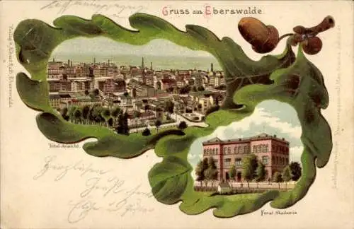 Eichenblatt Litho Eberswalde, Gesamtansicht, Forstakademie