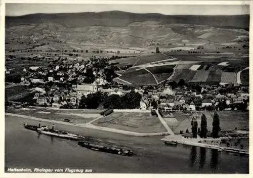 Ak Hattenheim Eltville am Rhein Hessen, Fliegeraufnahme