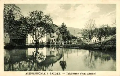 Ak Bienenmühle im Erzgebirge, Teich beim Gasthof