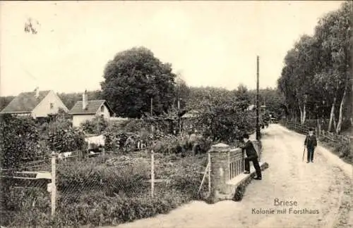 Ak Briese Birkenwerder, Kolonie mit Forsthaus