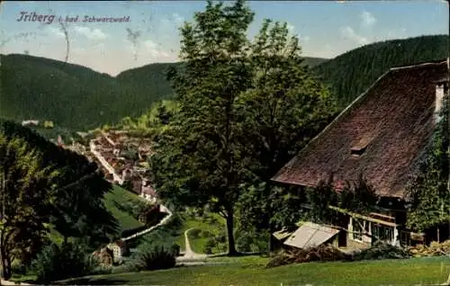 Ak Triberg im Schwarzwald, Teilansicht