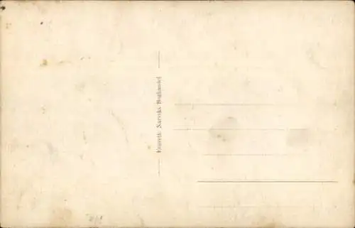 Ak Narvik Norwegen, Panorama