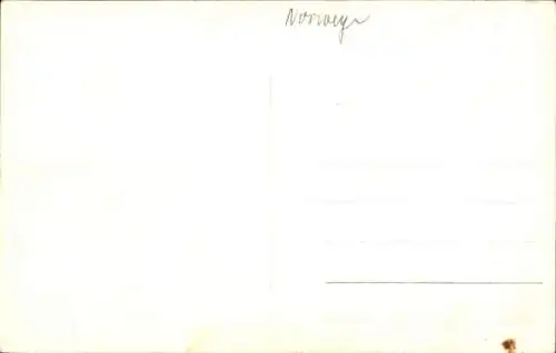 Ak Oslo Norwegen, Utsikt fra Slottet over Karl Johan