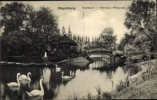 Ak Magdeburg an der Elbe, Stadtpark, Fährhaus Mittagsee, Brücke, Schwäne