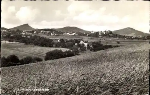 Ak Aegidienberg Bad Honnef am Rhein, Panorama