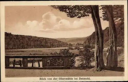 Ak Detmold am Teutoburger Wald, Blick von Obermühle, Brücke