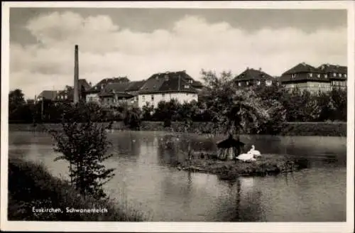 Ak Euskirchen, Schwanenteich, Schwäne, Wasser, Vogelhaus