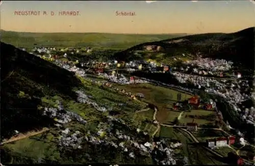 Ak Neustadt an der Haardt Neustadt an der Weinstraße, Schöntal, Panorama