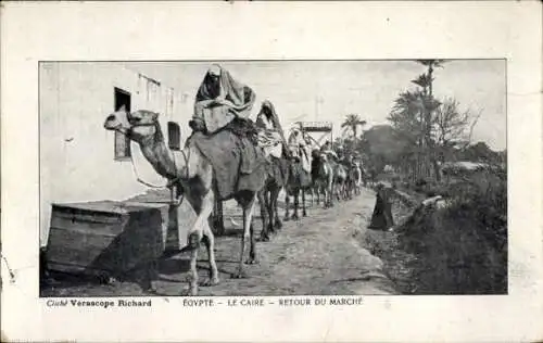 Ak Cairo Kairo Ägypten, Retour du Marché, Ägypter auf Kamelen