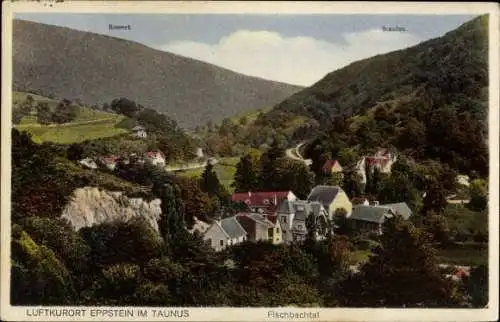 Ak Eppstein im Taunus, Fischbachtal, Panorama