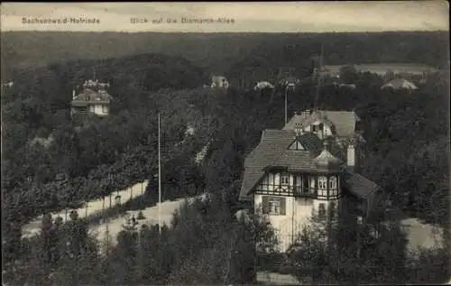 Ak Sachsenwald Hofriede Aumühle im Herzogtum Lauenburg, Bismarck-Allee