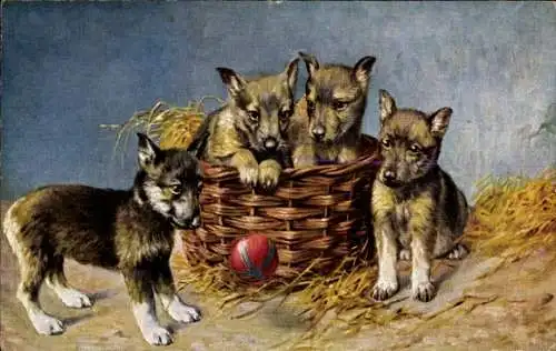 Ak Vier Hundewelpen, Hundeportrait, Weidenkorb, Spielball