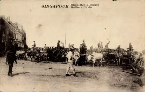 Ak Singapur Singapur, Bullock Caris