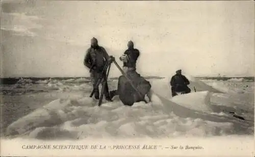 Ak Princess Alice Scientific Campaign, Schelfeis