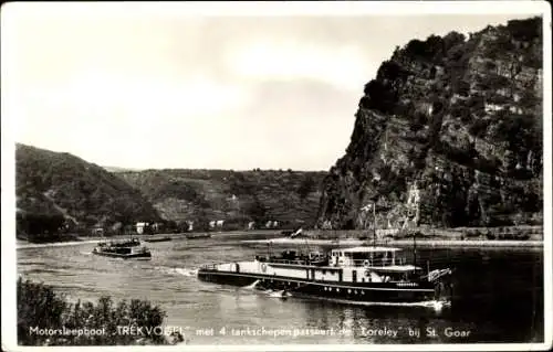 Ak Loreleyfelsen bei St. Goar, Motorschleppboot Trekvogel