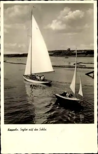 Ak Kappeln an der Schlei, Segler auf der Schlei, Das schöne Angeln, Nr. 194a