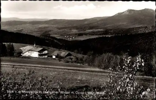 Ak Lam im Bayerischen Wald Oberpfalz, Osser, Osserschutzhaus, Blick von Mooshütte