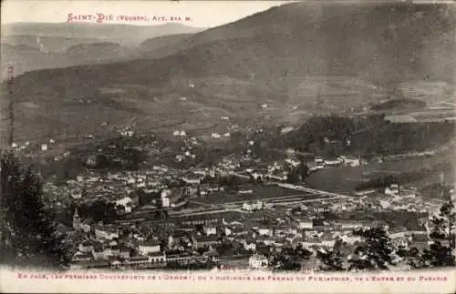 Ak Saint Dié des Vosges, Panorama, Berge