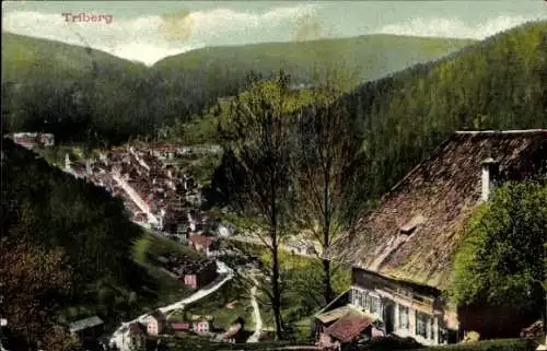 Ak Triberg im Schwarzwald, Teilansicht