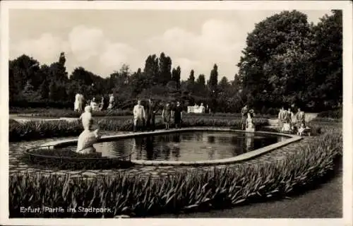 Ak Erfurt in Thüringen, Stadtpark, Springbrunnen