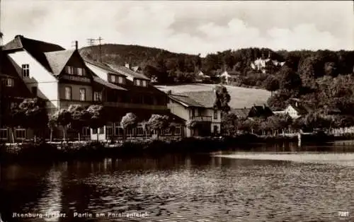 Ak Ilsenburg im Harz, Teilansicht, Forellenteich