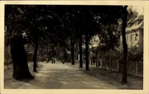 Ak Liegau Augustusbad Radeberg in Sachsen, Promenade, Allee