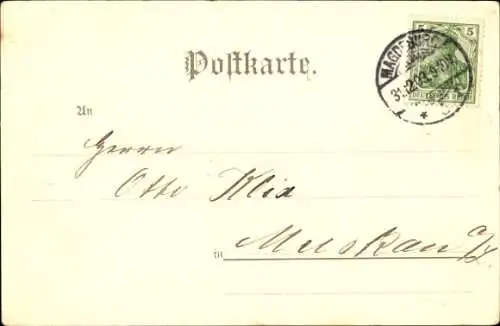 Litho Magdeburg an der Elbe, Luisengarten, Villa Fleischhauer, Glückwunsch zum neuen Jahr