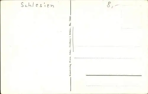 Ak Liebichau Lubiechów Wałbrzych Waldenburg Schlesien, Fürstliche Gärtnerei, Dahlienfelder