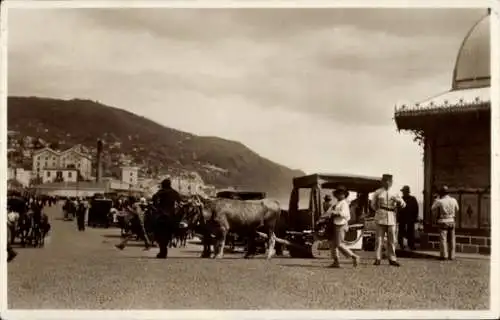 Ak Insel Madeira Portugal, Straßenpartie mit Blick auf einen Ochsenschlitten