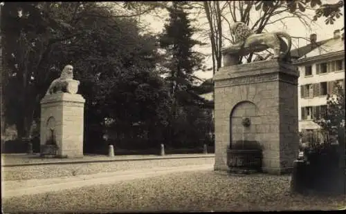 Ak Zofingen Kanton Aargau, Denkmal der Zofingla