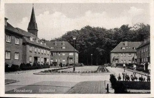 Ak Pinneberg in Holstein, Rosenhof