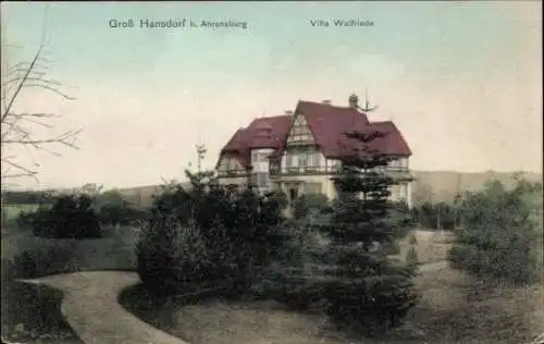 Ak Großhansdorf in Schleswig-Holstein, Villa Wulfriede