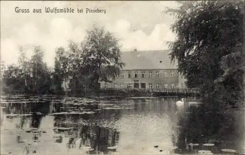 Ak Pinneberg in Holstein, Wulfsmühle