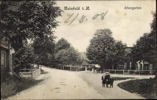 Ak Reinfeld in Holstein, Altengarten, Kinder