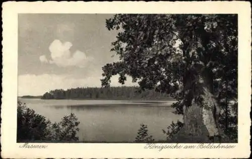 Ak Wierzba Wiersba Masuren Ostpreußen, Königseiche am Beldahnsee