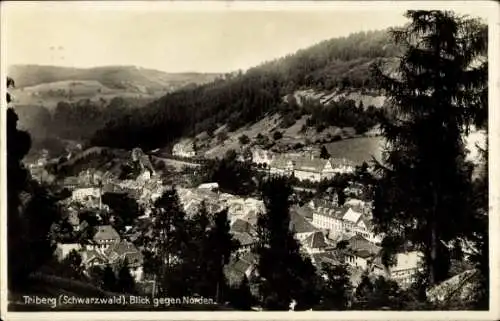 Foto Ak Triberg, Blick Richtung Norden