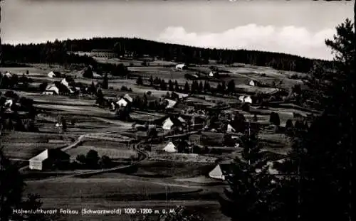 Ak Falkau Feldberg im Schwarzwald, Gesamtansicht