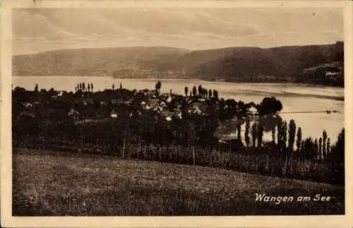 Ak Wangen am Untersee Öhningen in Baden, Panorama